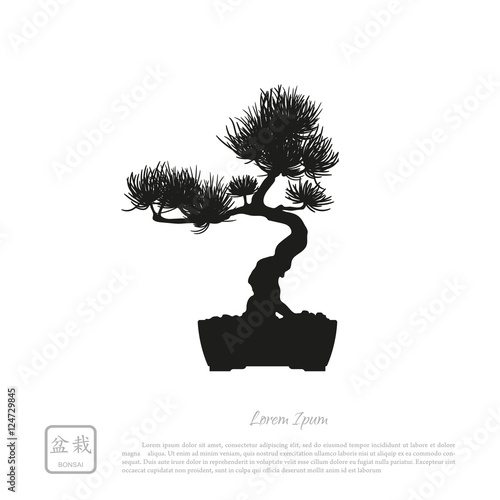 Black silhouette of a bonsai on a white background. Detailed ima