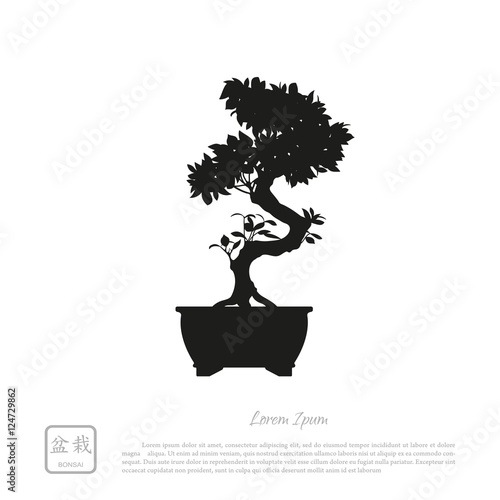 Black silhouette of a bonsai on a white background. Detailed ima