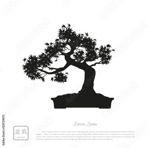 Black silhouette of a bonsai on a white background. Detailed ima