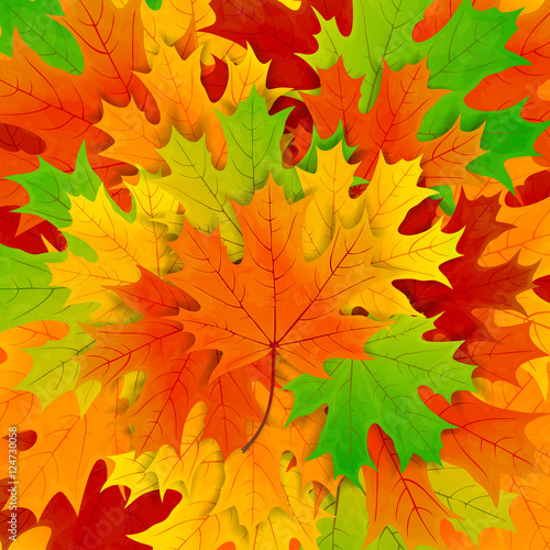 Autumn background with leaves