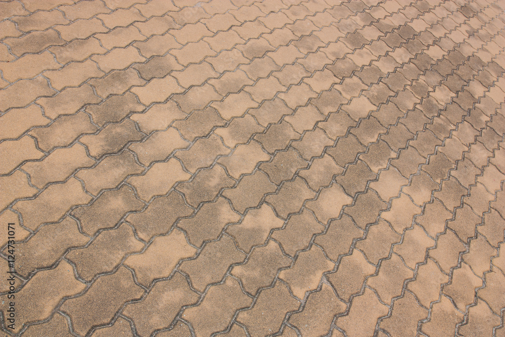 Fototapeta premium Brick worm or Bricklaying worm on the walkway, Shooting angle in obliquely.