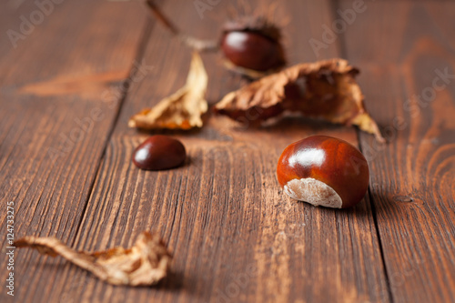 The set of horse chestnuts on a wooden table
