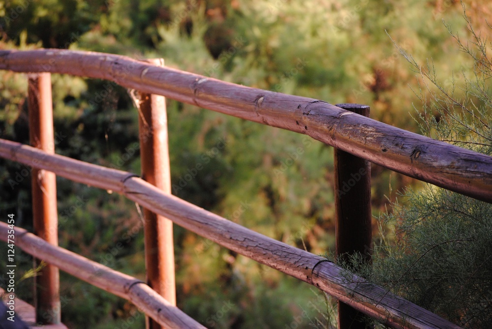 Puente Puente