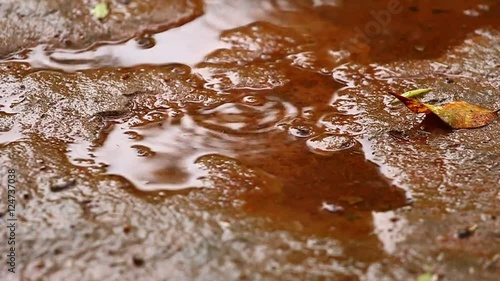 Rain in the mud photo