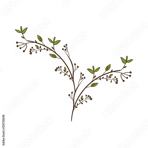 Branches with leaves icon over white background. plant natural decoration theme. vector illustration