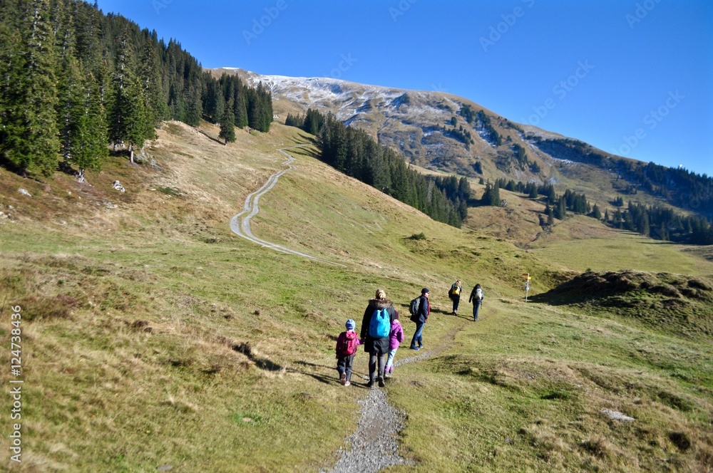 Wandergruppe in den Schweizer Alpen