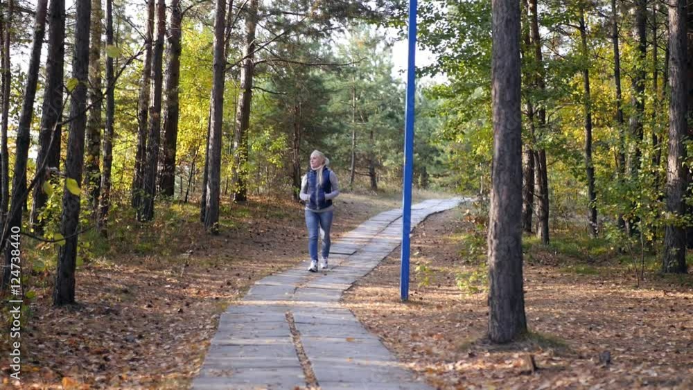 walk in the park walk in the park