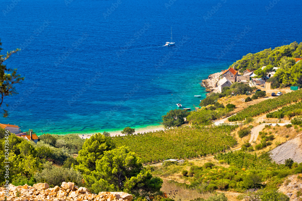 Vineyard and beach in picturesque village