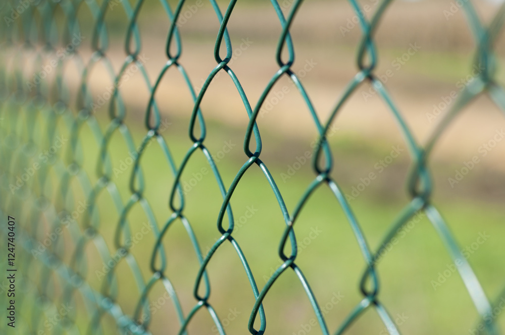 Fototapeta premium Grillage