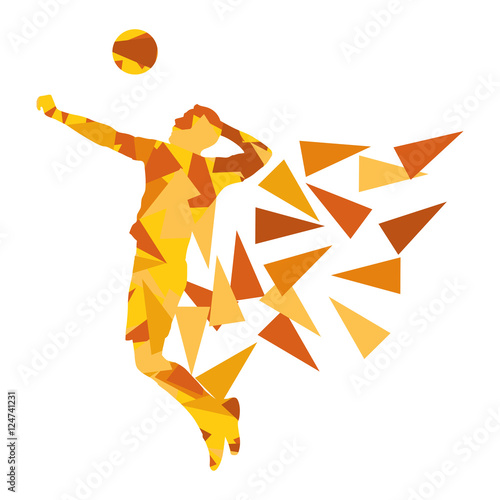 Volleyball player man silhouette made of polygon fragments vecto
