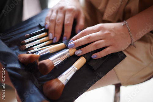 cosmetics bag with set of brushes for makeup