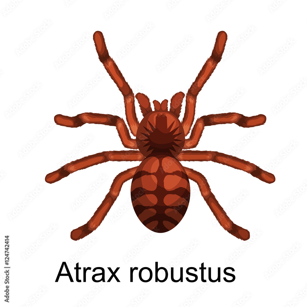 Spiders cartoon set, dangerous insects collection Spiders cartoon set, dangerous insects collection