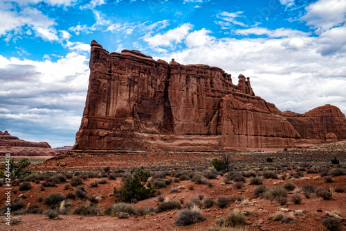 Принти на полотні Arches National Park