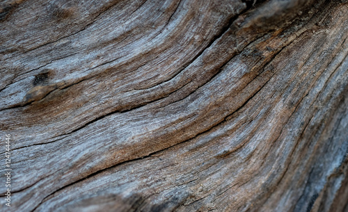 Wood natural surface background.