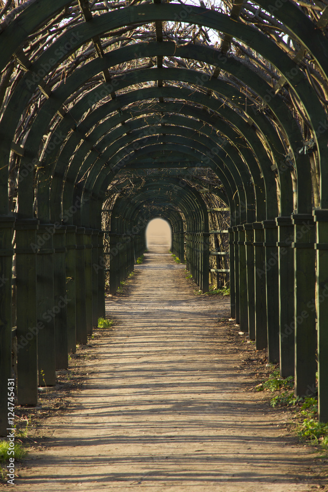 Obraz premium The corridor from wooden arch with grass