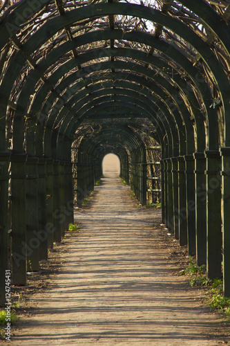 The corridor from wooden arch with grass