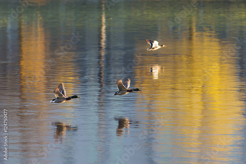 flight over the water