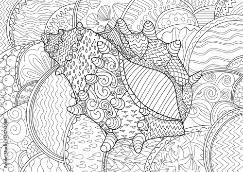 Seashell with high details.