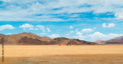 Namib Rand, Landschaft am Rande der Namib, Namibia © Manok