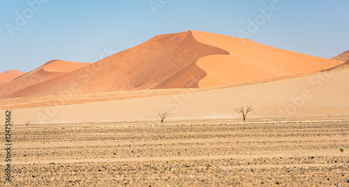 Namib  D  nen in der Mittagshitze  Namibia