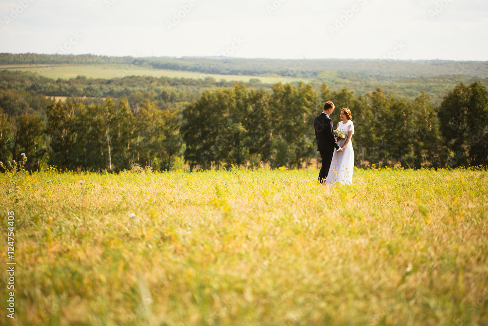 couple bride and groom on field background