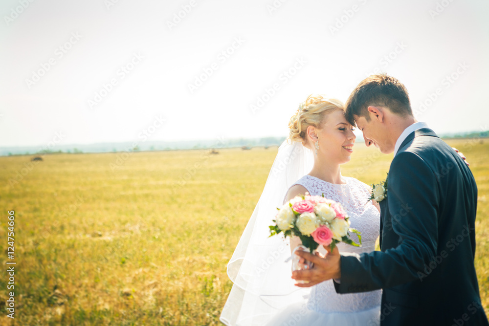 the bride and groom on the background of field the bride and groom on the background of field