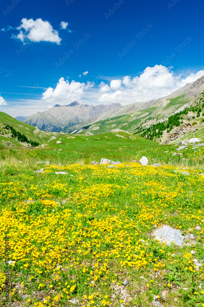 Mercantour National Park landscape, France Mercantour National Park landscape, France