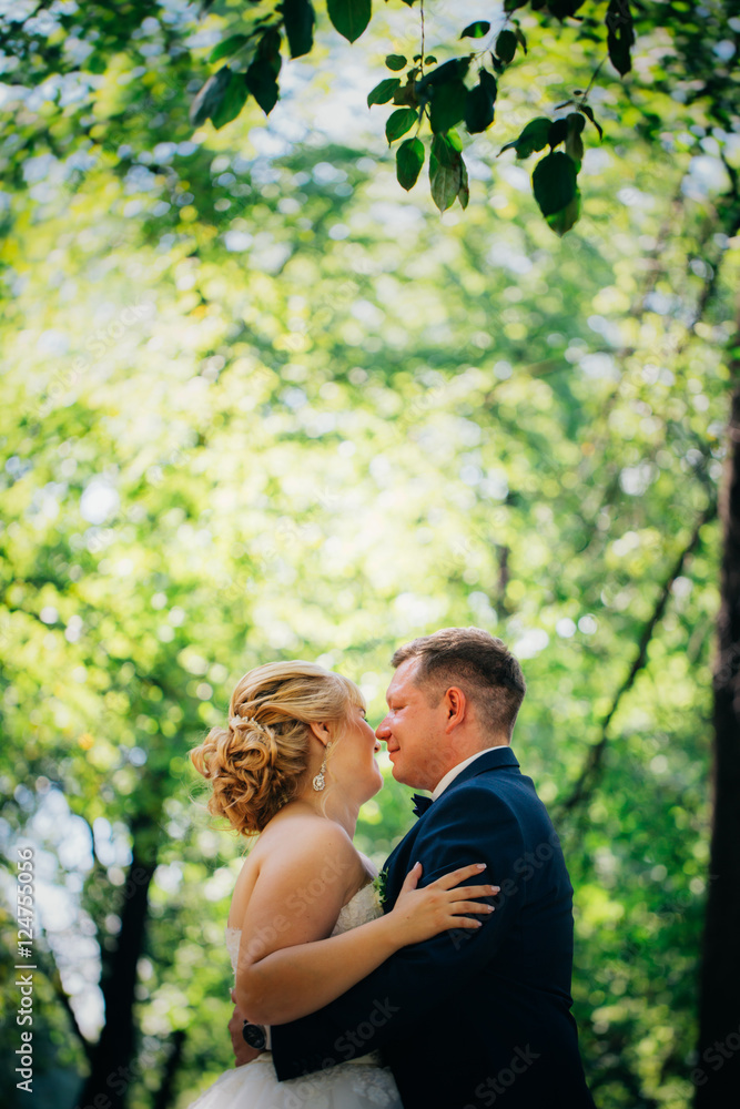 couple bride and groom on the background of the park's trees couple bride and groom on the background of the park's trees