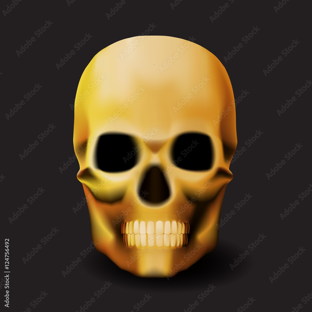 Obraz premium Skull on a black background