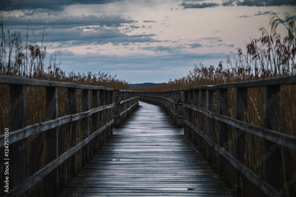 Naklejka premium Federsee