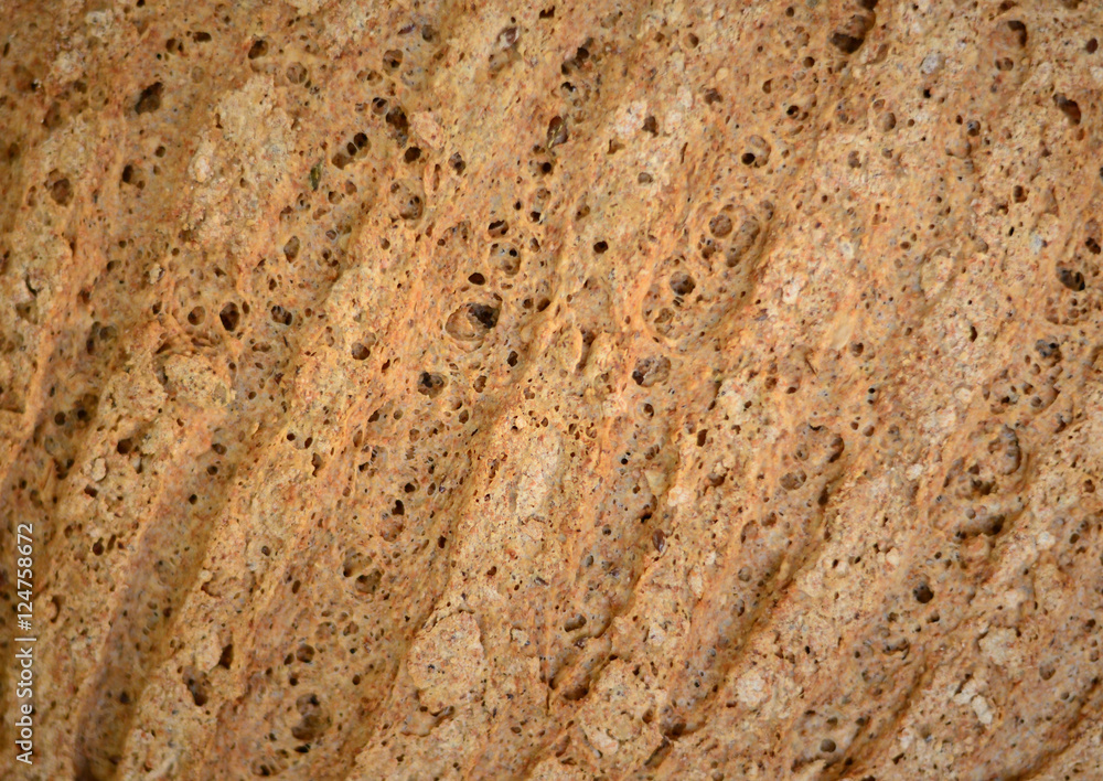 Texture of fresh bread crust Texture of fresh bread crust