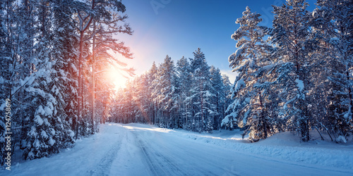 Fototapeta Naklejka Na Ścianę i Meble -  winter panorama on the road through coniferous forest