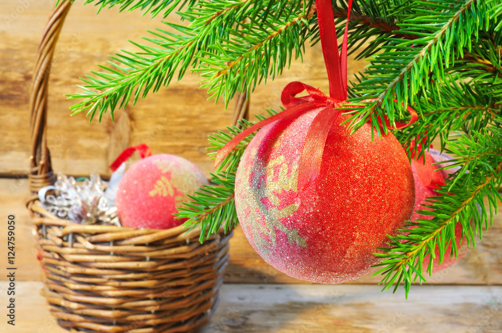 Red christmas ball on christmas tree twig Red christmas ball on christmas tree twig