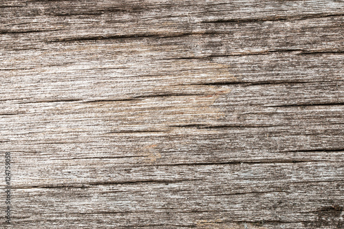 wood texture. background old panels