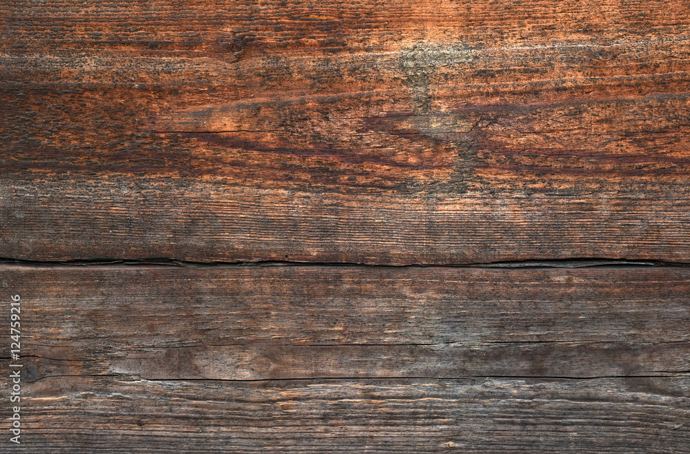 Naklejka premium Wood texture