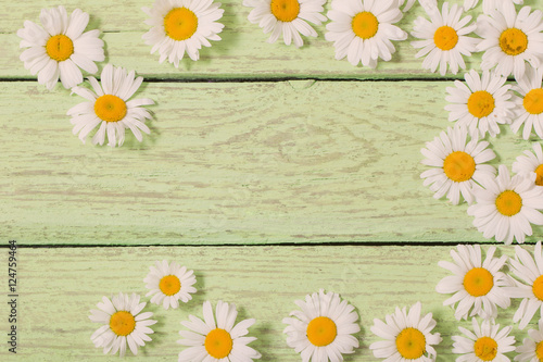 chamomile flower over green wooden background © Maya Kruchancova