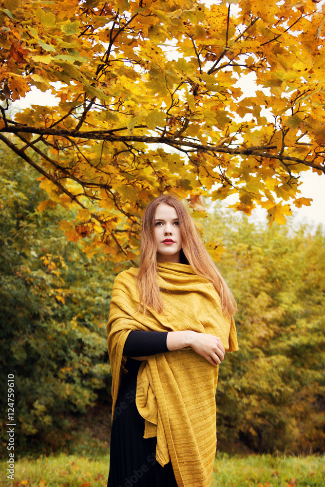 beautiful girl in autumn park beautiful girl in autumn park