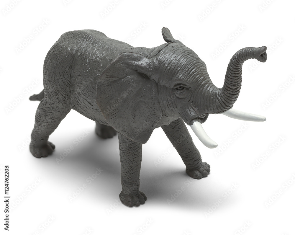 Fototapeta premium Elephant