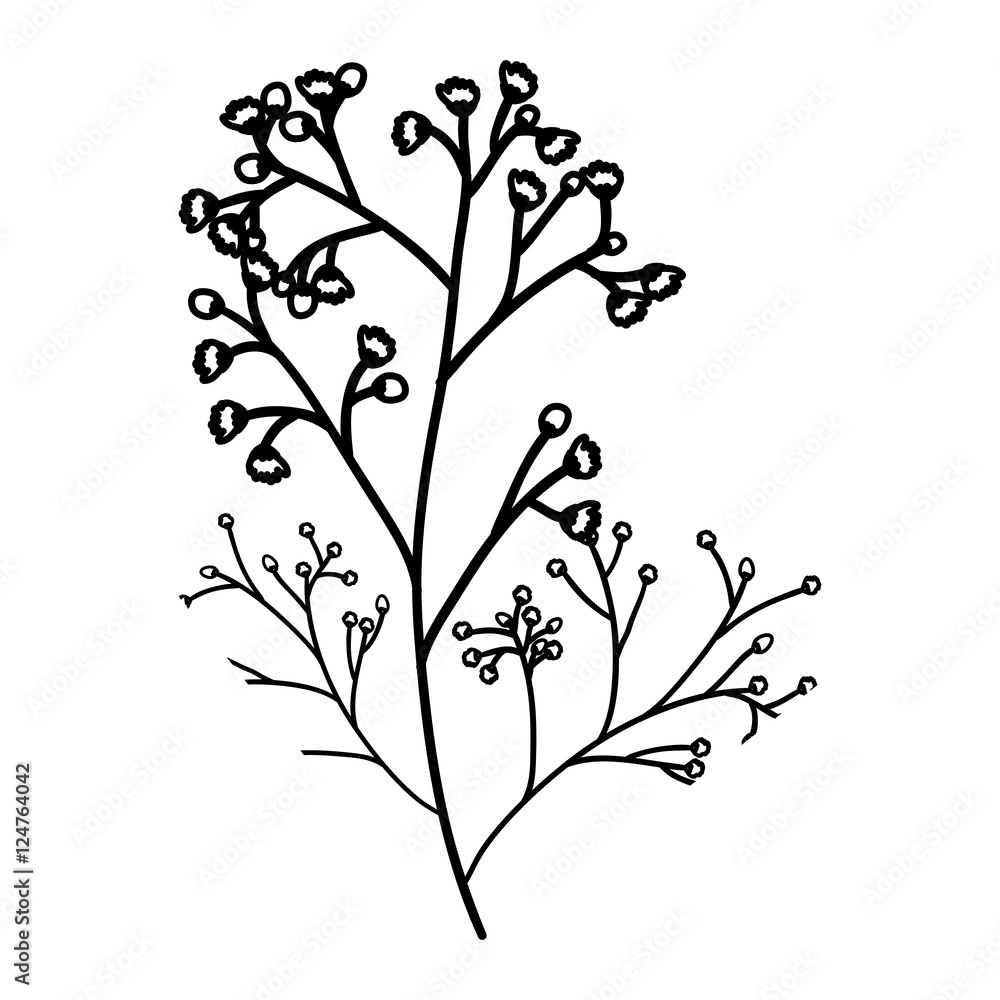 silhouette of branches with leaves frame over white background. Nature floral garden and decoration theme.vector illustration