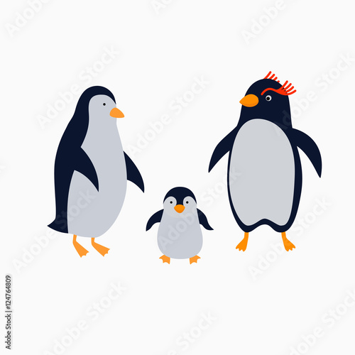 Family of penguins