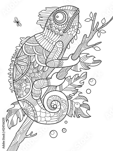 Chameleon coloring book for adults vector