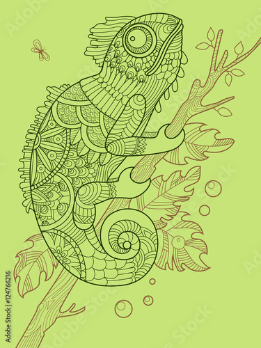 Chameleon coloring book for adults vector