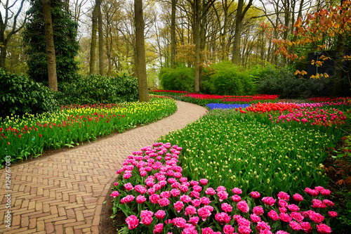 Fototapeta Naklejka Na Ścianę i Meble -  Curve of path in dutch garden Keukenhof, Netherlands, retro toned