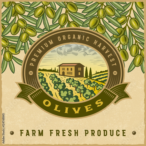Vintage colorful olive harvest label