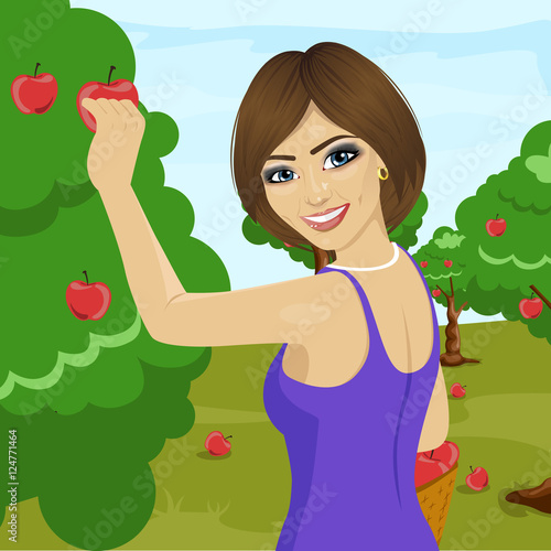 young woman picking red apples from tree in orchard