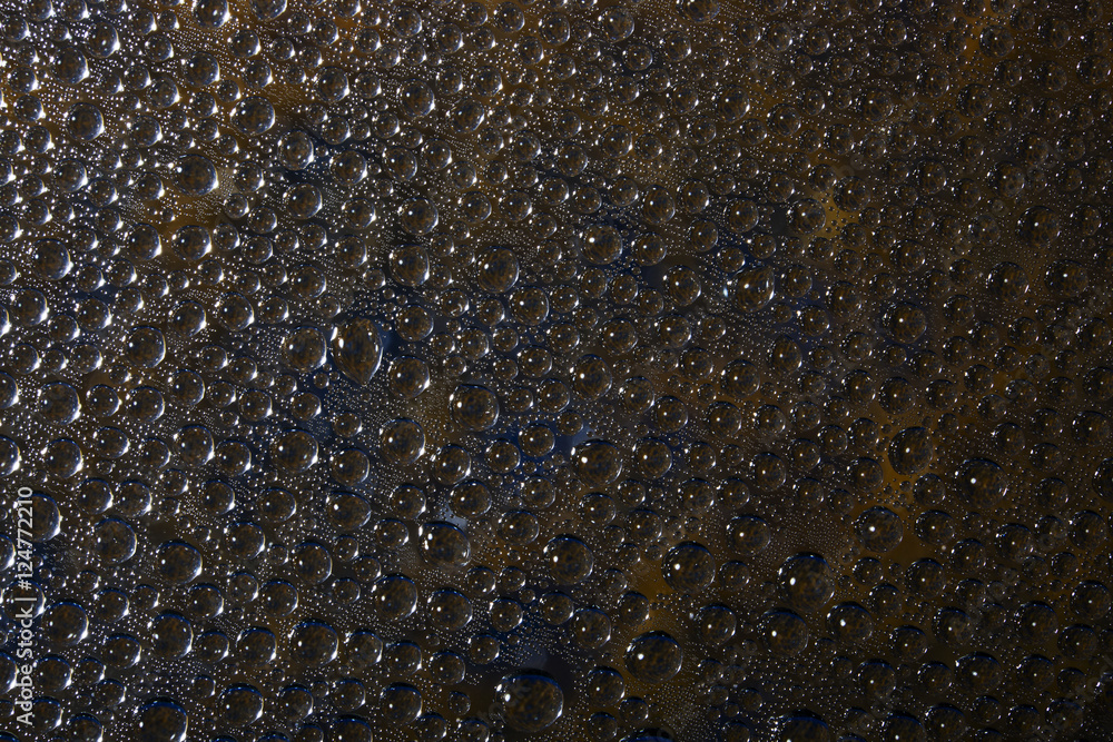 Fototapeta premium Абстрактный фон из капель воды на стеклянной поверхности
