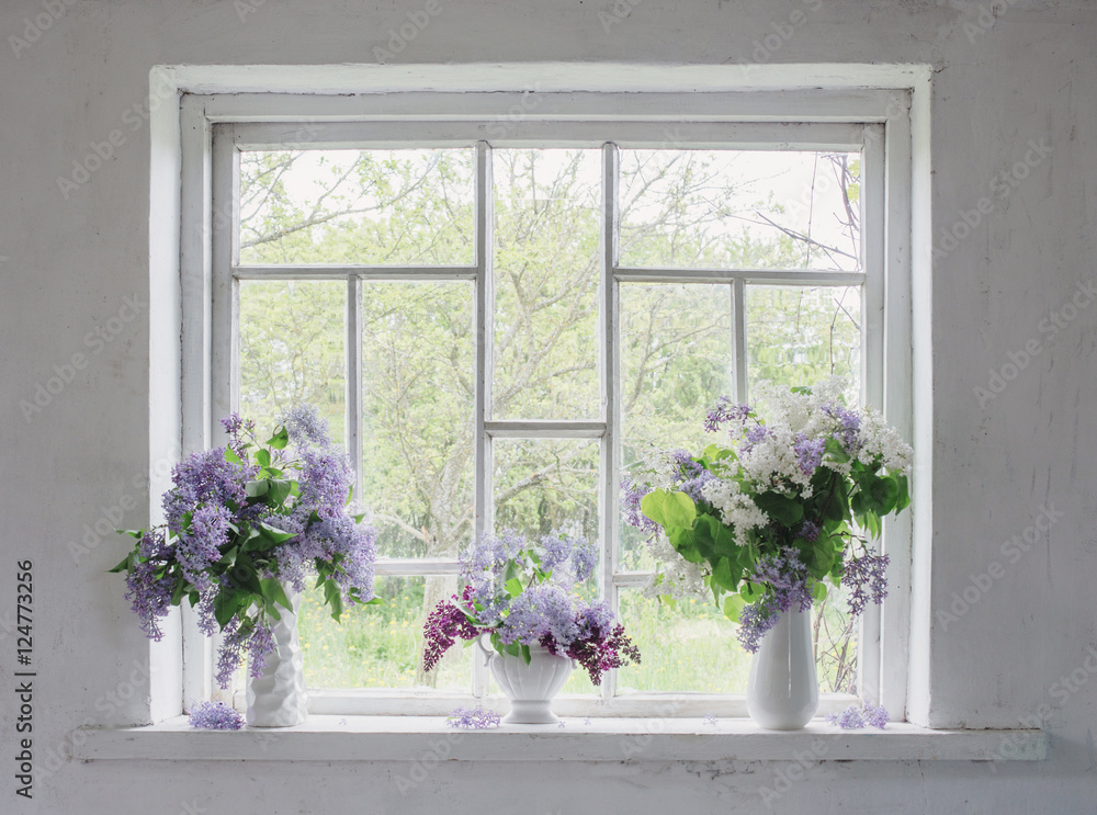 Fototapeta premium blooming branch of lilac at the window