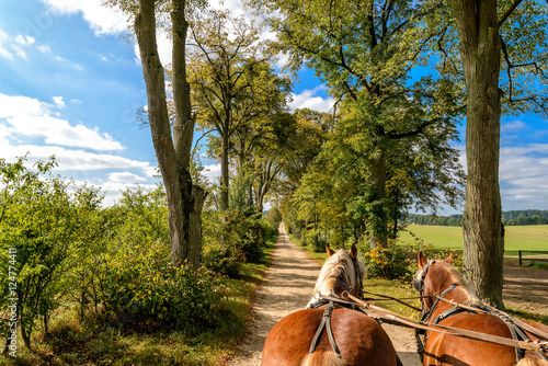 Fototapeta Naklejka Na Ścianę i Meble -  Kutschfahrt in Masuren