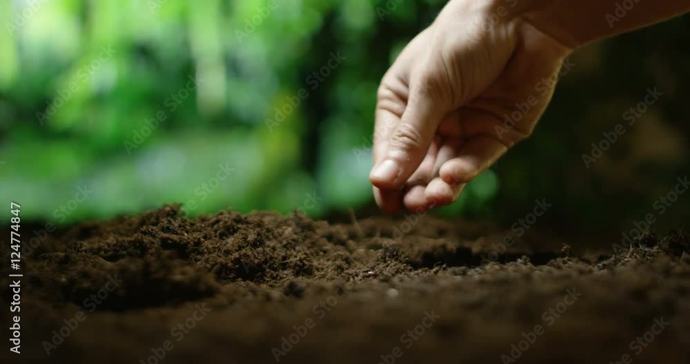 young farm hand seed mais into the earth in macro and slow motion