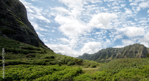 Lush green jurassic Hawaiian valley with bright sky